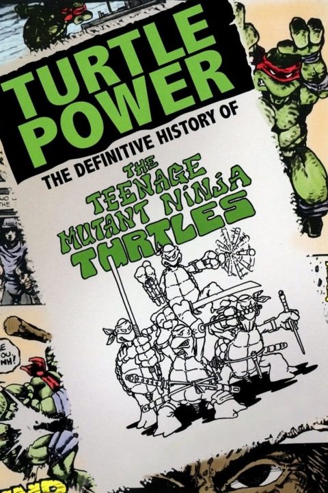 Plakát Turtle Power - The Definitive History of the Teenage Mutant Ninja Turtles