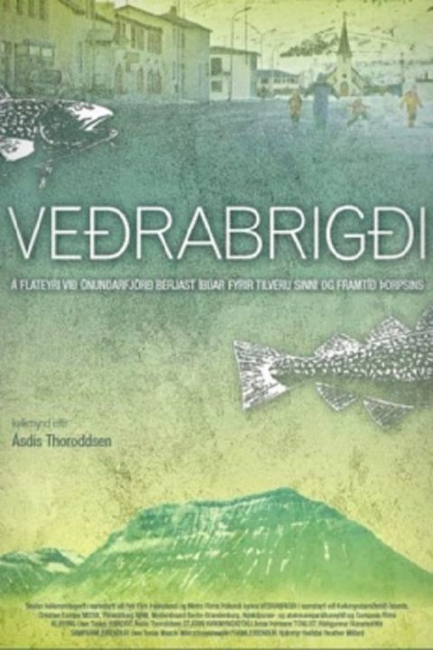 Veðrabrigði