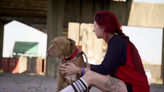 Pit Bulls and Parolees - 12. epizoda