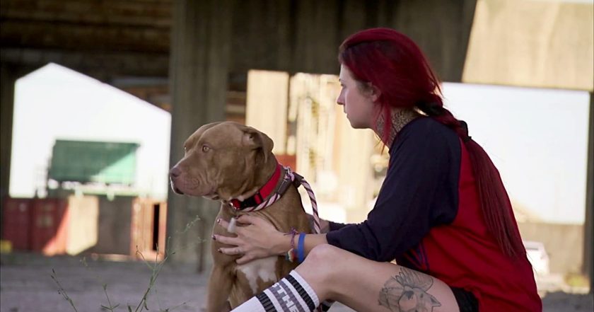 Pit Bulls and Parolees