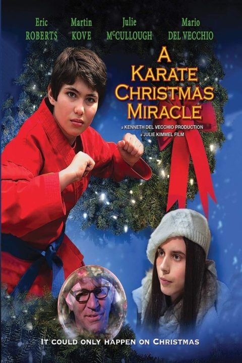 Plakát A Karate Christmas Miracle