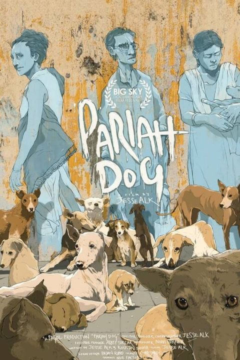 Pariah Dog