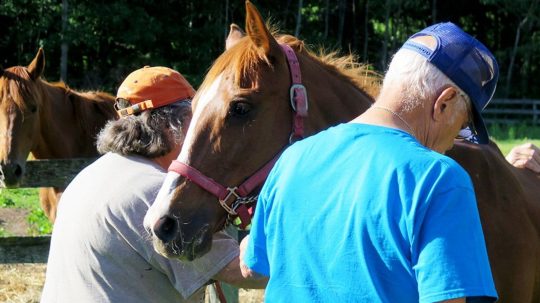 The Incredible Dr. Pol - 7. epizoda