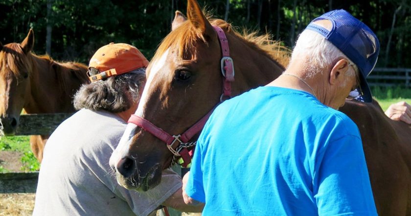 The Incredible Dr. Pol