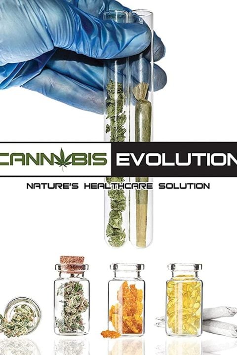 Plakát Cannabis Evolution