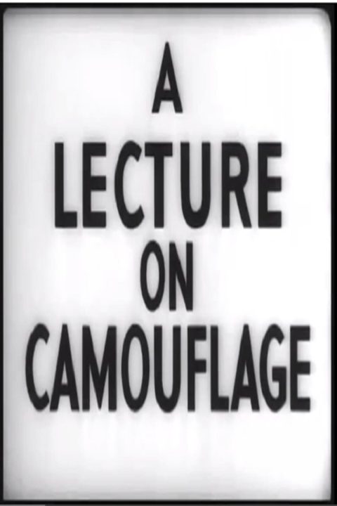 Plakát A Lecture on Camouflage