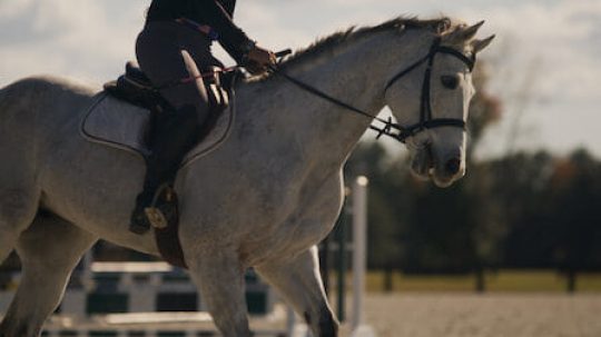 Skrytá tvář sportu - 5. epizoda