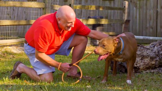 Pit Bulls and Parolees - 3. epizoda