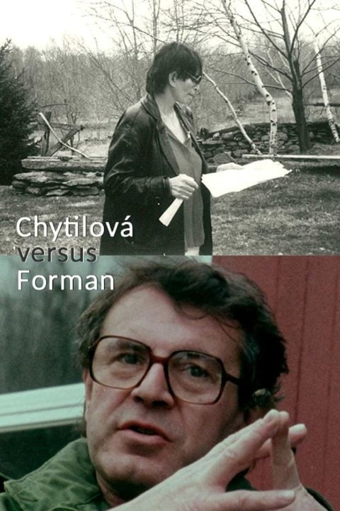 Chytilová versus Forman