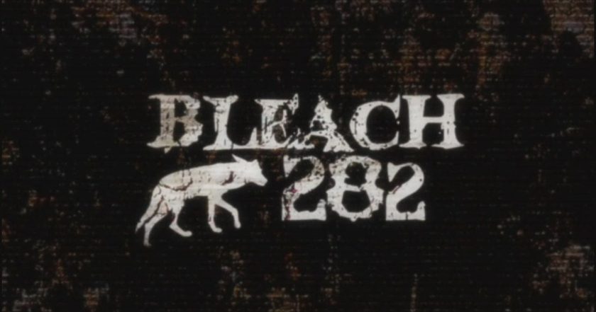 Bleach