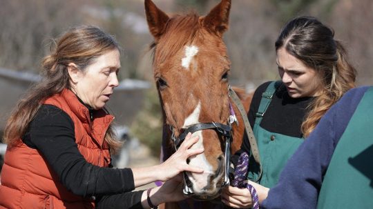 Dr. Oakley, Yukon Vet - 3. epizoda