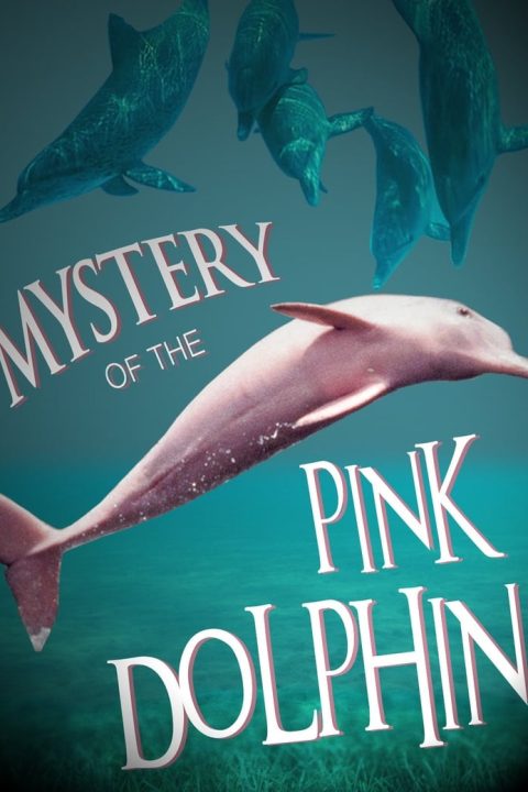 Plakát The Mystery of the Pink Dolphin