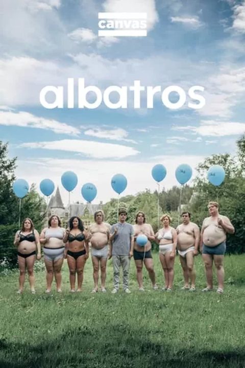 Plakát Albatros