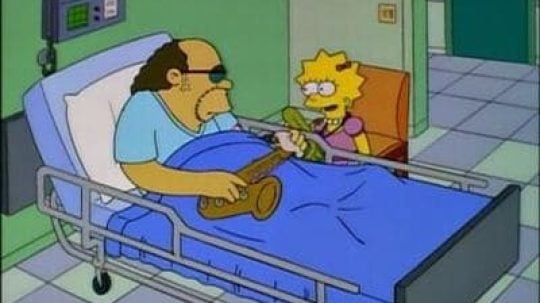 Simpsonovi - Kolem Springfieldu
