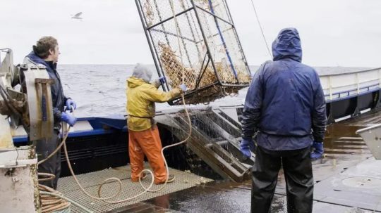 Deadliest Catch - 5. epizoda