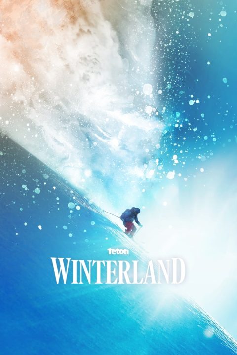 Plakát Winterland