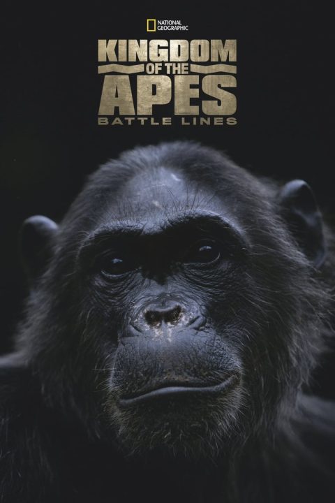 Plakát Kingdom of the Apes: Battle Lines