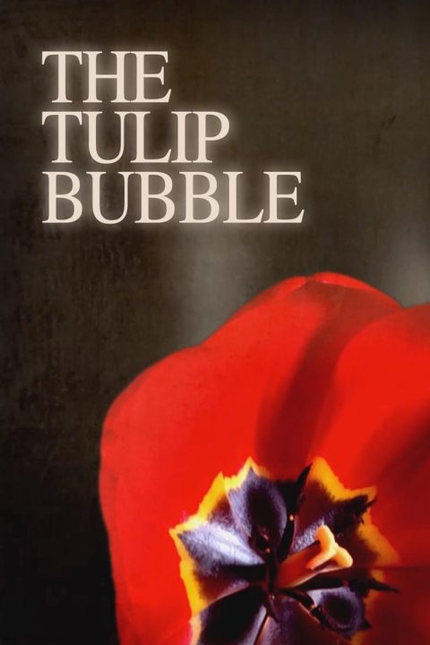 Plakát The Tulip Bubble