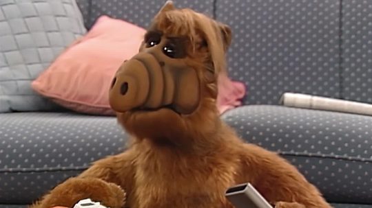 ALF - Kandidáti