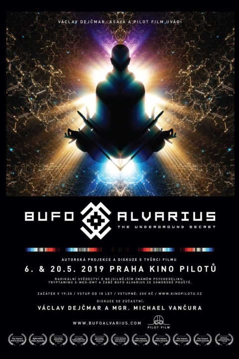 Bufo Alvarius – The Underground Secret