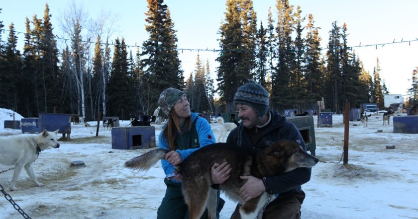 Dr. Oakley, Yukon Vet