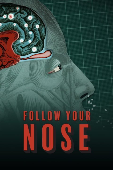 Plakát Follow Your Nose: Cracking Smell's Code