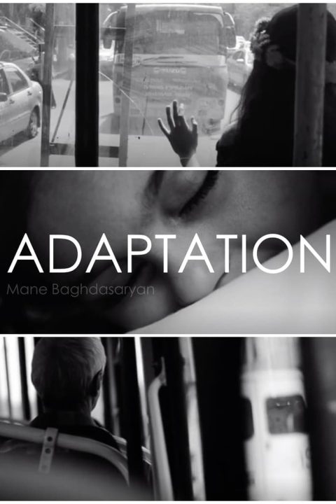 Adaptation