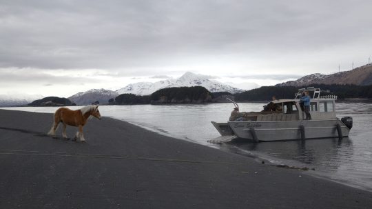 Dr. Oakley, Yukon Vet - 5. epizoda