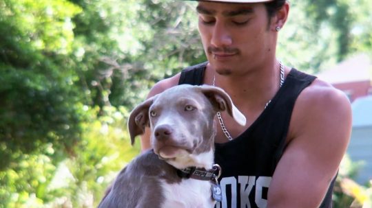 Pit Bulls and Parolees - 5. epizoda