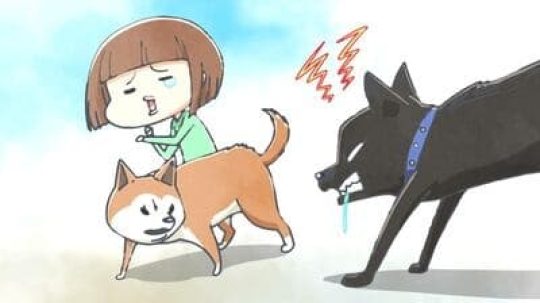 犬と猫どっちも飼ってると毎日たのしい - 11. epizoda