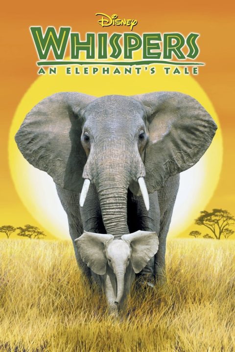 Plakát Whispers: An Elephant's Tale