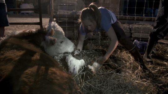 Dr. Oakley, Yukon Vet - 3. epizoda