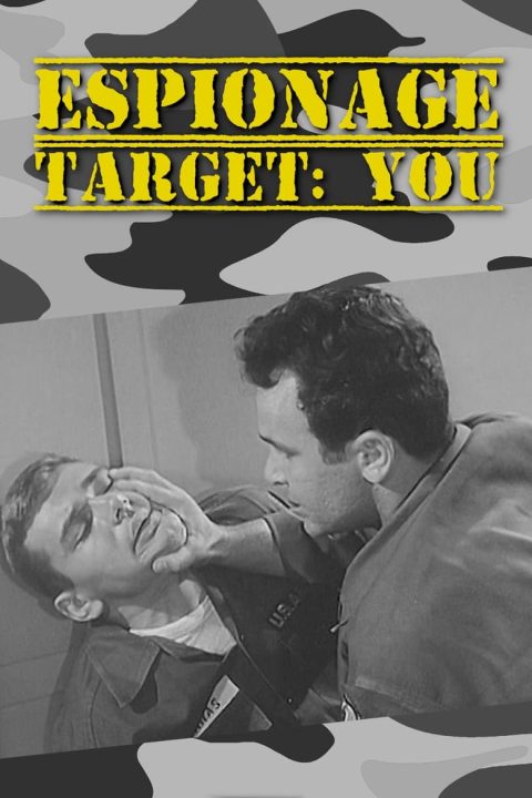 Plakát Espionage Target: You