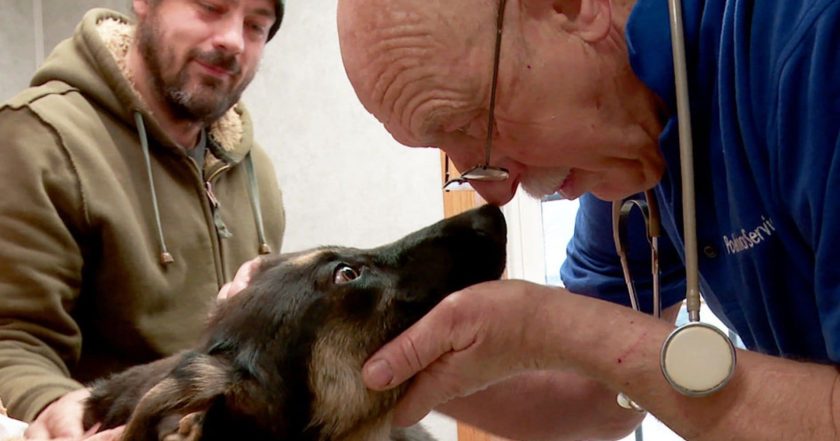 The Incredible Dr. Pol