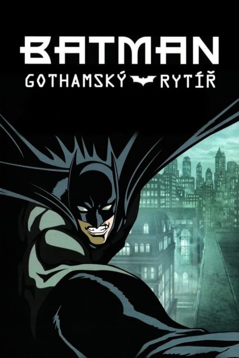 Plakát Batman: Gothamský rytíř