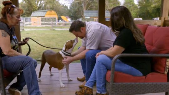 Pit Bulls and Parolees - 11. epizoda