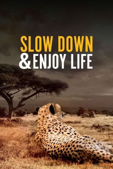 Plakát Slow Down and Enjoy Life