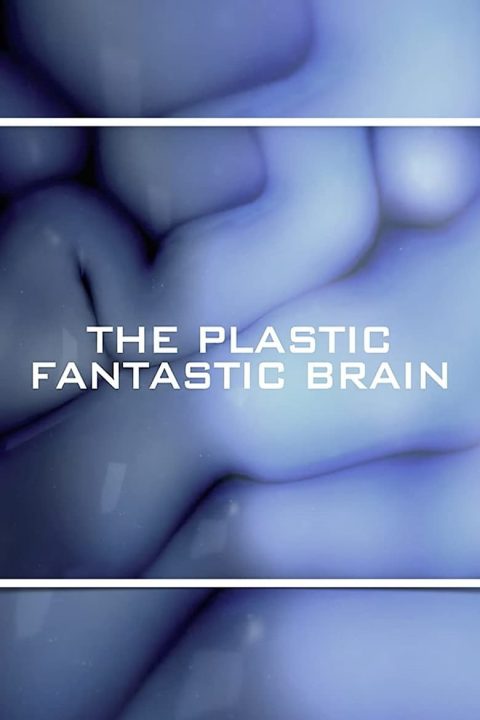 Plakát The Plastic Fantastic Brain