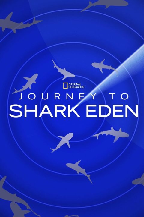 Journey to Shark Eden