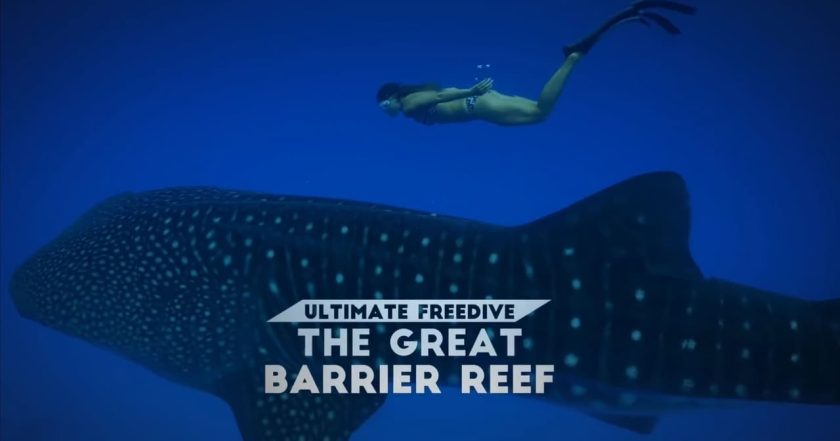 Ultimate Freedive: The Great Barrier Reef