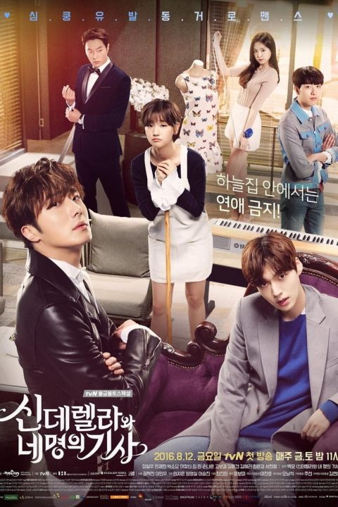 Plakát Cinderella and the Four Knights