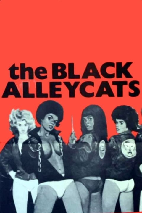 Plakát The Black Alley Cats