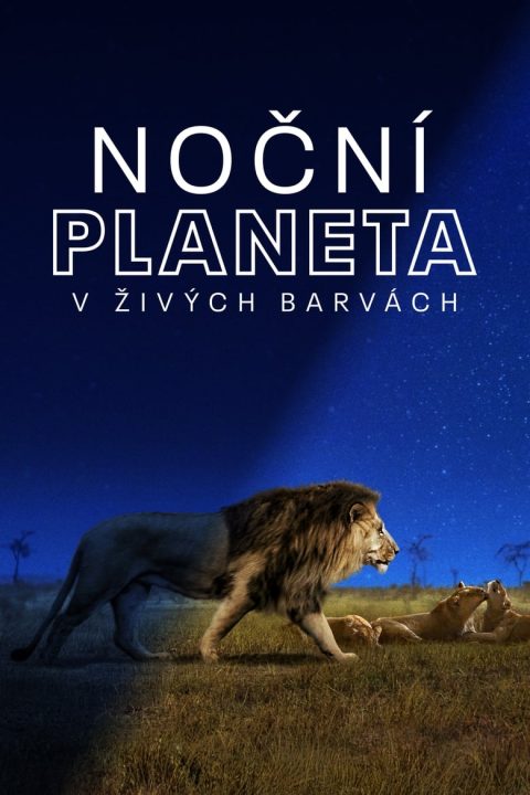 Noční planeta v živých barvách