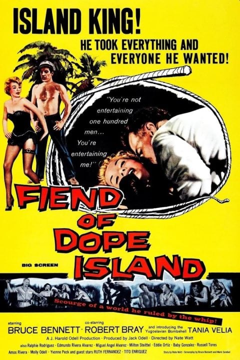 Plakát Fiend of Dope Island