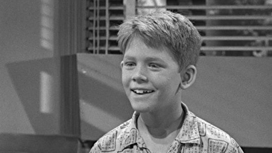 The Andy Griffith Show - 9. epizoda