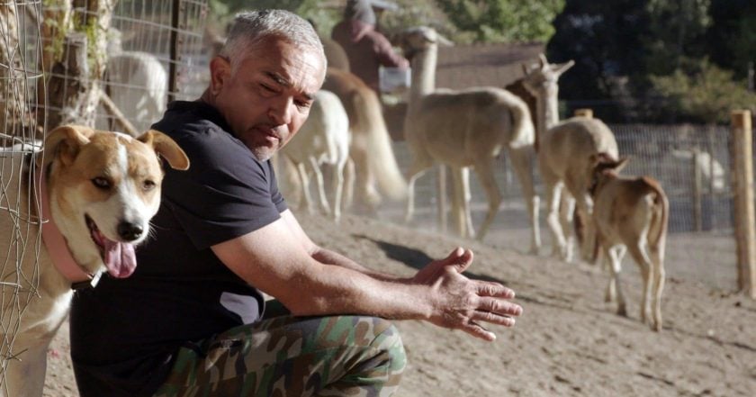 Cesar Millan: Jaký pán, takový pes