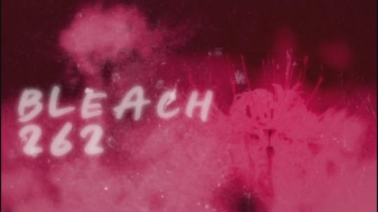 Bleach - 262. epizoda