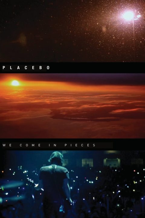 Plakát Placebo: We Come In Pieces