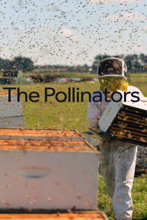 Plakát The Pollinators