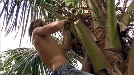 Survivor (USA) - Zvládli jsme to